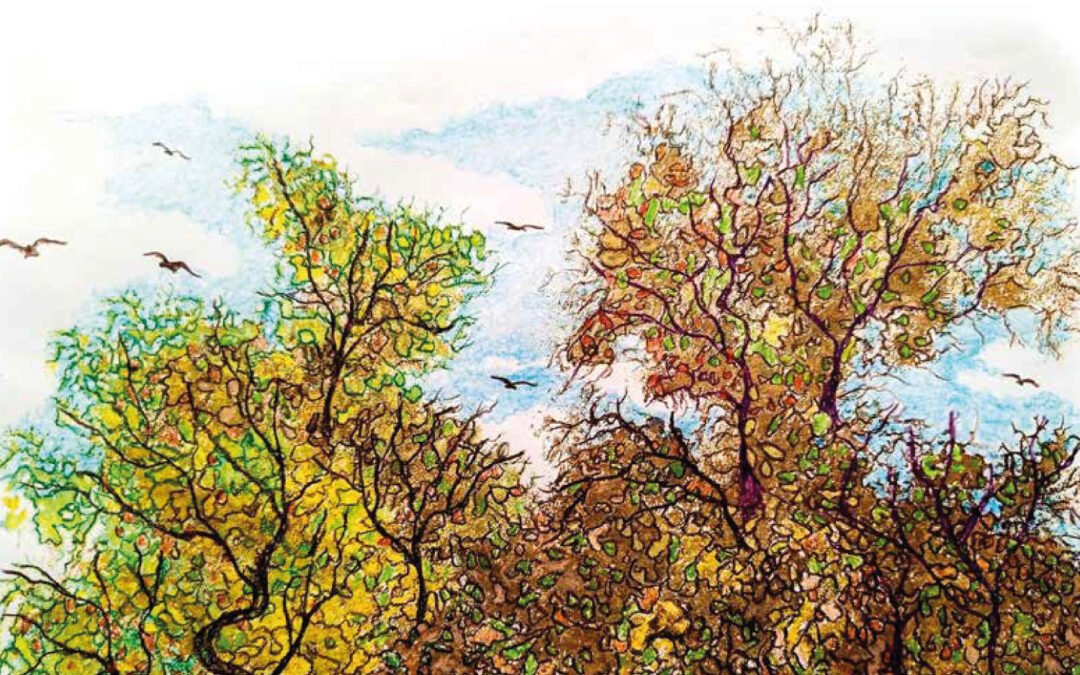 Experiencia AR: «Cuando los Árboles Desaparezcan»