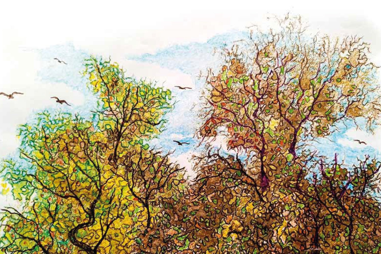 Visualización de la experiencia de realidad aumentada Cuando los Árboles Desaparezcan creada por Yokoi Studio.